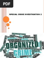 Special Crime Investigation 2