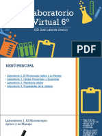 Laboratorio Virtual Proyecto