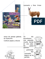 Cuento Vicunita