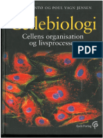 Cytoskellettet-Cellebiologi-Cellens Organisation Og Livsprocesser