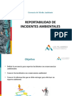 Reportabilidad Incidentes Ambientales MLP. Enero 19