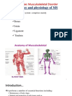 Musculoskeletal Anatomy and Physiology