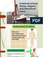 AnaPhyLc - 1.2 Body Planes, Regions and Directional Terms