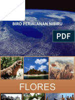 SEJARAH FLORES