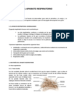 El aparato respiratorio: estructura y funciones