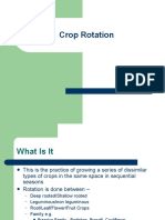 Crop Rotation