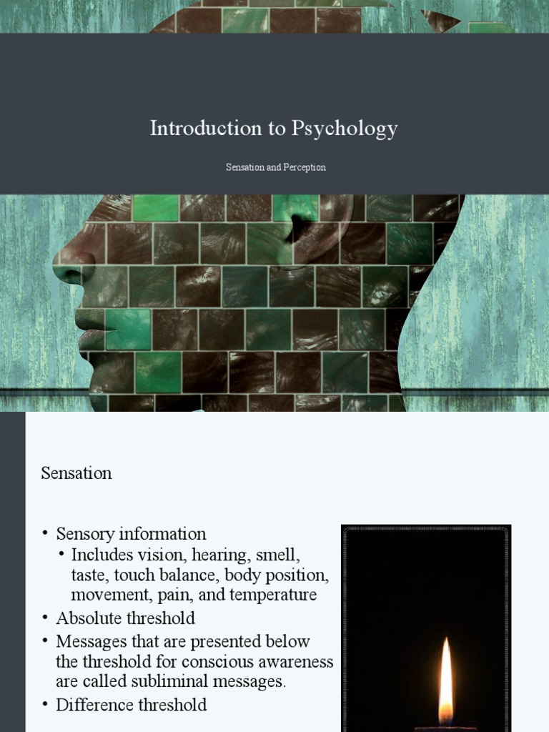 Sensation and Perception Overview | PDF | Perception | Senses