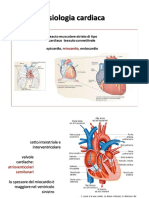 n-Funzione-cardiovascolare-cuore