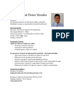Loyer Anibal Flores Morales CV