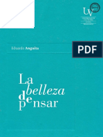 Eduardo Anguita - La Belleza de Pensar-Universidad de Valparaíso (2013)