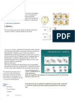 PDF Amitosis