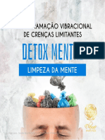 Detox Mental Reprogramacao Vibracional Das Crencas