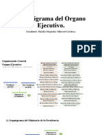 Estructura Del Órgano Ejecutivo