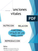 El Buho Nutricion Relaccion y Reproduccion No Borrar.