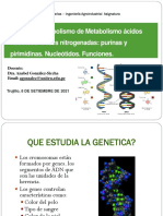 T-30-Metabolismo de Acidos Nucleicos.