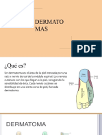 DERMATOMAS