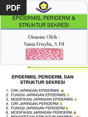 Download 540 Koleksi Gambar Hasil Modifikasi Jaringan Epidermis Keren Gratis