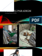 Nursing Paradigm Guide