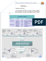 LEUCOCITOS