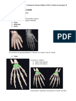 Osteología de Muñeca y Mano - DR Mazza