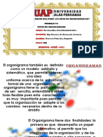 Trabajo 04 - Tipos de Organigrama