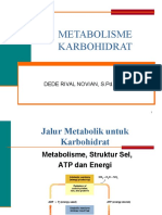Biokimia Veteriner II Metabolisme Karbohidrat RKPS