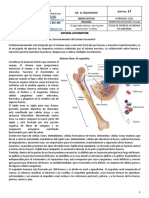 Biología Octavo - Sem 17 y 18 - Claudia Eraso-Yenny Sanabria