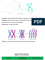 Genetics - Reviewer