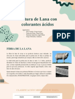 Trabajo Colaborativo #6 - Laboratorio Teñido de La Lana Con Colorantes Acidos