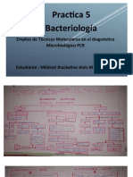 Bacteriología Práctica 5