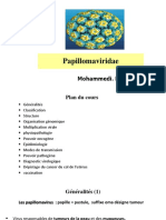 Papillomavirus 