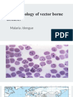 Disease Biology of Vector Borne Diseases: Malaria /dengue