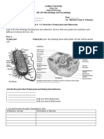 Activity 5 - Cell Structure - Prokaryotes and Eukaryotes