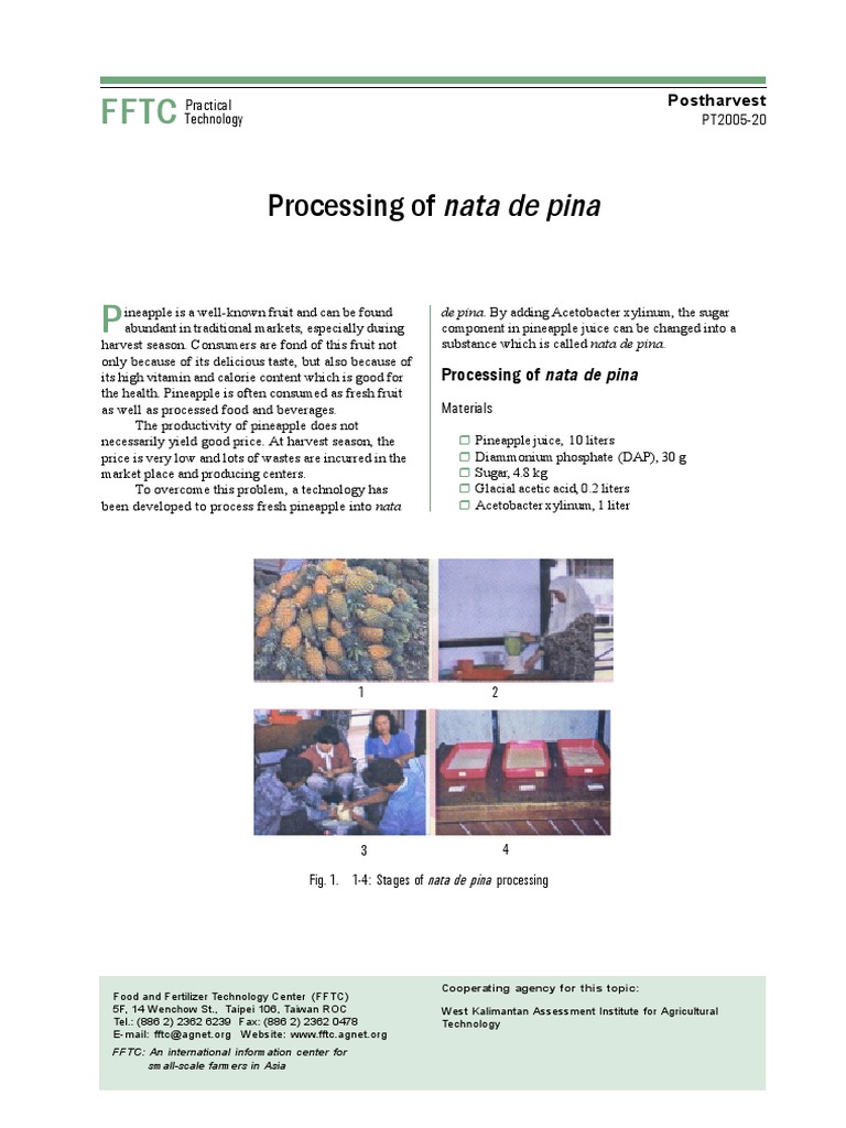 Processing of Nata de Pina Practical Technology PT200520 PDF