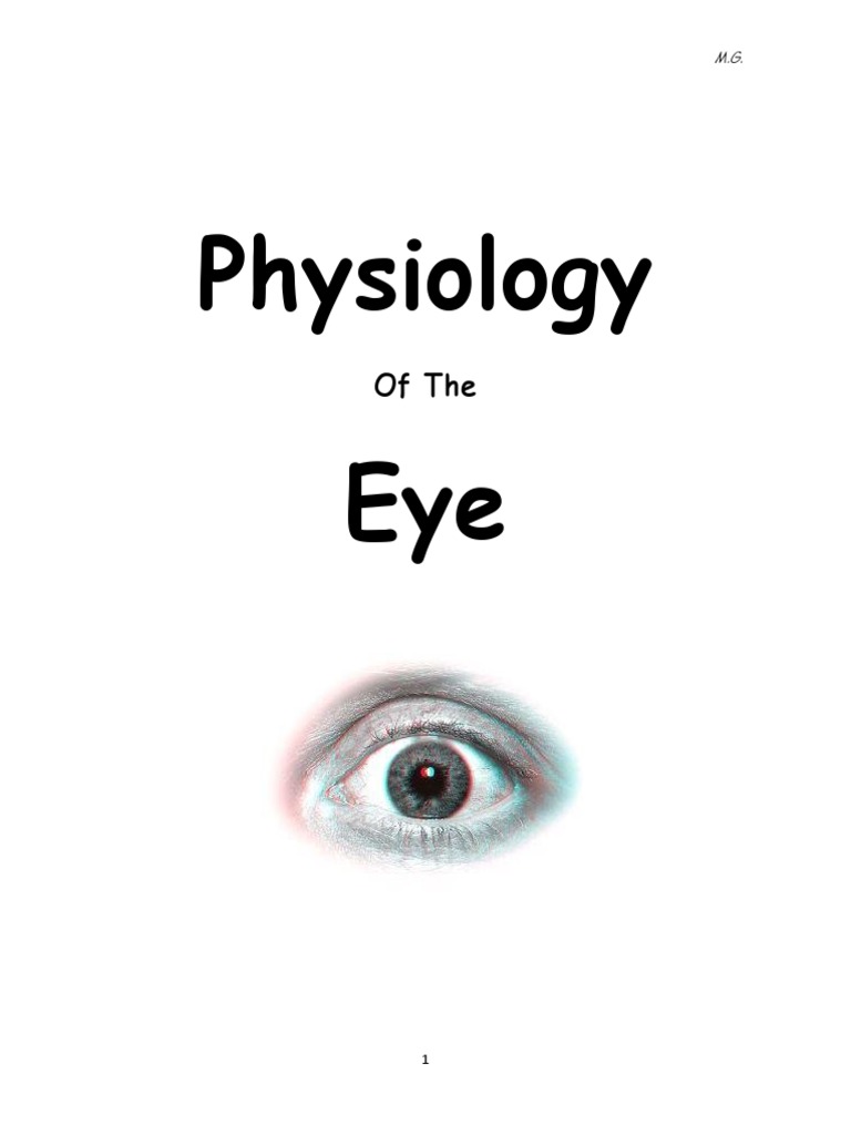 Physiology Eye: of The | PDF | Cornea | Visual System