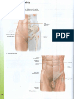 Prometheus Atlas Anatomia12