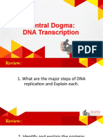 Central Dogma: DNA Transcription