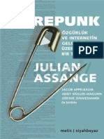 Julian Assagne Sifrepunk