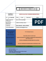 Curriculum David Torres