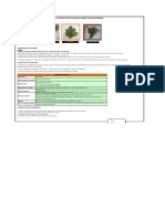 Instructivo de Botrytis Propagación Pompón Final