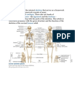 Intimate: Skeleton Bones Cartilages Connective Tissue Ligaments Tendons Human