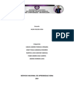 Informe Dianostico Organizacional CPMS Ramiriqui