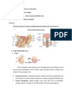 Kimia Klinik- Vidia m. Julianti(Khge 19035)-2a Ankes