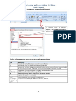 Formatarea Personalizata Custom