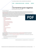 Introducción A Las Bacterias Gram Negativas - Infecciones - Manual MSD Versión para Público General