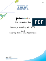 IIB1000 96 MessageModeling Lab6 Discriminators