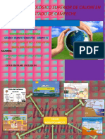 (P) Mapa Mental y Esquema