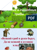 Ядовитые и съедобные грибы