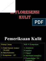 Efloresensi Kulit Oleh Dr. Syafori