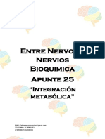 Apunte 25 - Integración Metabólica